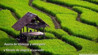 www.vitanoblepowerpoints.net 27
Ayuna de tristezas y amarguraAyuna de tristezas y amargura
y llénate de alegría el corazóny llénate de alegría el corazón
 