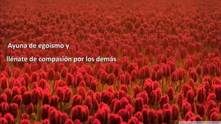 www.vitanoblepowerpoints.net
Ayuna de egoísmo yAyuna de egoísmo y
llénate de compasión por los demásllénate de compasión por los demás
 