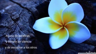 www.vitanoblepowerpoints.net 30
Ayuna de palabras
y llénate de silencio
y de escuchar a los otros
 