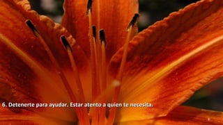 www.vitanoblepowerpoints.net 9
6. Detenerte para ayudar. Estar atento a quien te necesita.6. Detenerte para ayudar. Estar atento a quien te necesita.
 