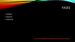 FASES
• Cefálica
• Gástrica
• Intestinal
https://www.medigraphic.com/pdfs/rma/cma-2015/cma151d.pdf
 