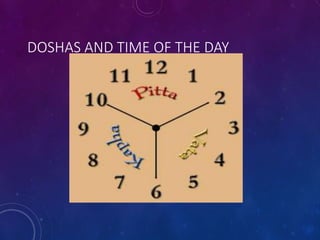 DOSHAS AND TIME OF THE DAY
 