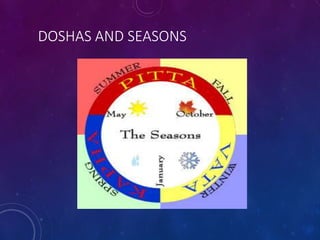 DOSHAS AND SEASONS
 