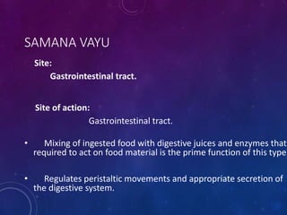 SAMANA VAYU
Site:
Gastrointestinal tract.
Site of action:
Gastrointestinal tract.
• Mixing of ingested food with digestive juices and enzymes that
required to act on food material is the prime function of this type.
• Regulates peristaltic movements and appropriate secretion of
the digestive system.
 