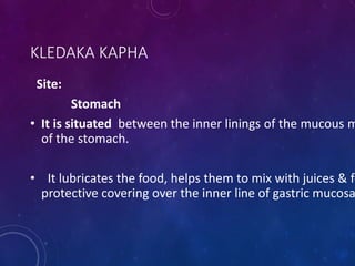 KLEDAKA KAPHA
Site:
Stomach
• It is situated between the inner linings of the mucous m
of the stomach.
• It lubricates the food, helps them to mix with juices & fo
protective covering over the inner line of gastric mucosa
 