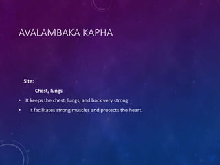 AVALAMBAKA KAPHA
Site:
Chest, lungs
• It keeps the chest, lungs, and back very strong.
• It facilitates strong muscles and protects the heart.
 