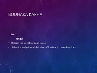 BODHAKA KAPHA
Site:
Tongue
• Helps in the identification of tastes.
• Salivation and primary lubrication of food are its prime functions.
 