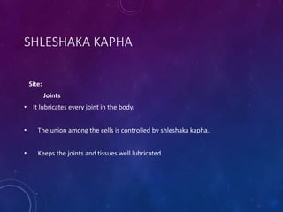 SHLESHAKA KAPHA
Site:
Joints
• It lubricates every joint in the body.
• The union among the cells is controlled by shleshaka kapha.
• Keeps the joints and tissues well lubricated.
 