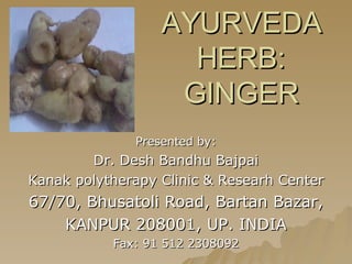 AYURVEDA HERB: GINGER Presented by: Dr. Desh Bandhu Bajpai Kanak polytherapy Clinic & Researh Center 67/70, Bhusatoli Road, Bartan Bazar, KANPUR 208001, UP. INDIA Fax: 91 512 2308092 