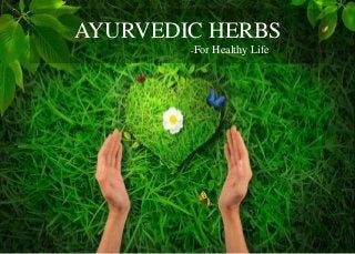 AYURVEDIC HERBS
-For Healthy Life
 