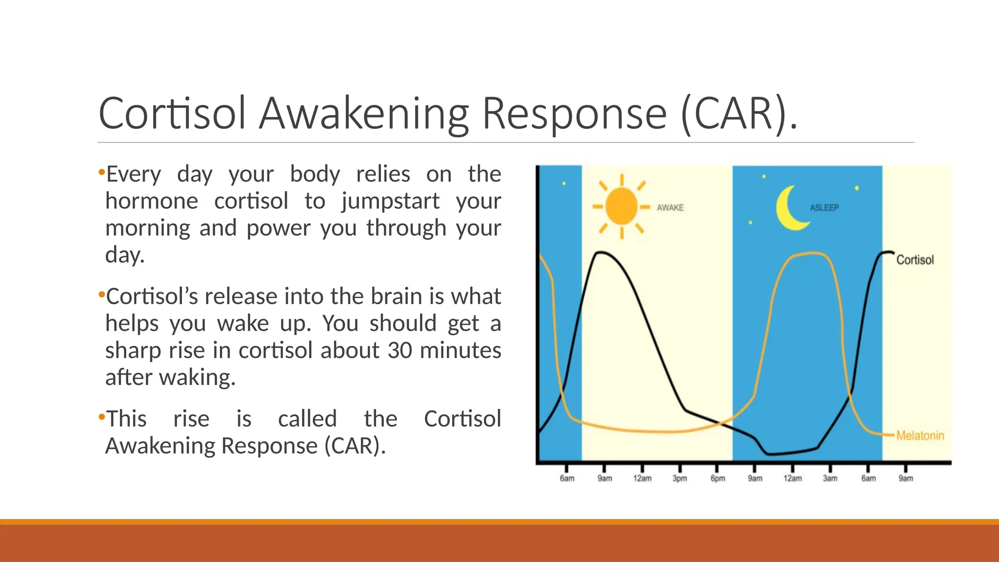 Cortisol Awakening Response (CAR).
•Every day your body relies on the
hormone cortisol to jumpstart your
morning and power you through your
day.
•Cortisol’s release into the brain is what
helps you wake up. You should get a
sharp rise in cortisol about 30 minutes
after waking.
•This rise is called the Cortisol
Awakening Response (CAR).
 
