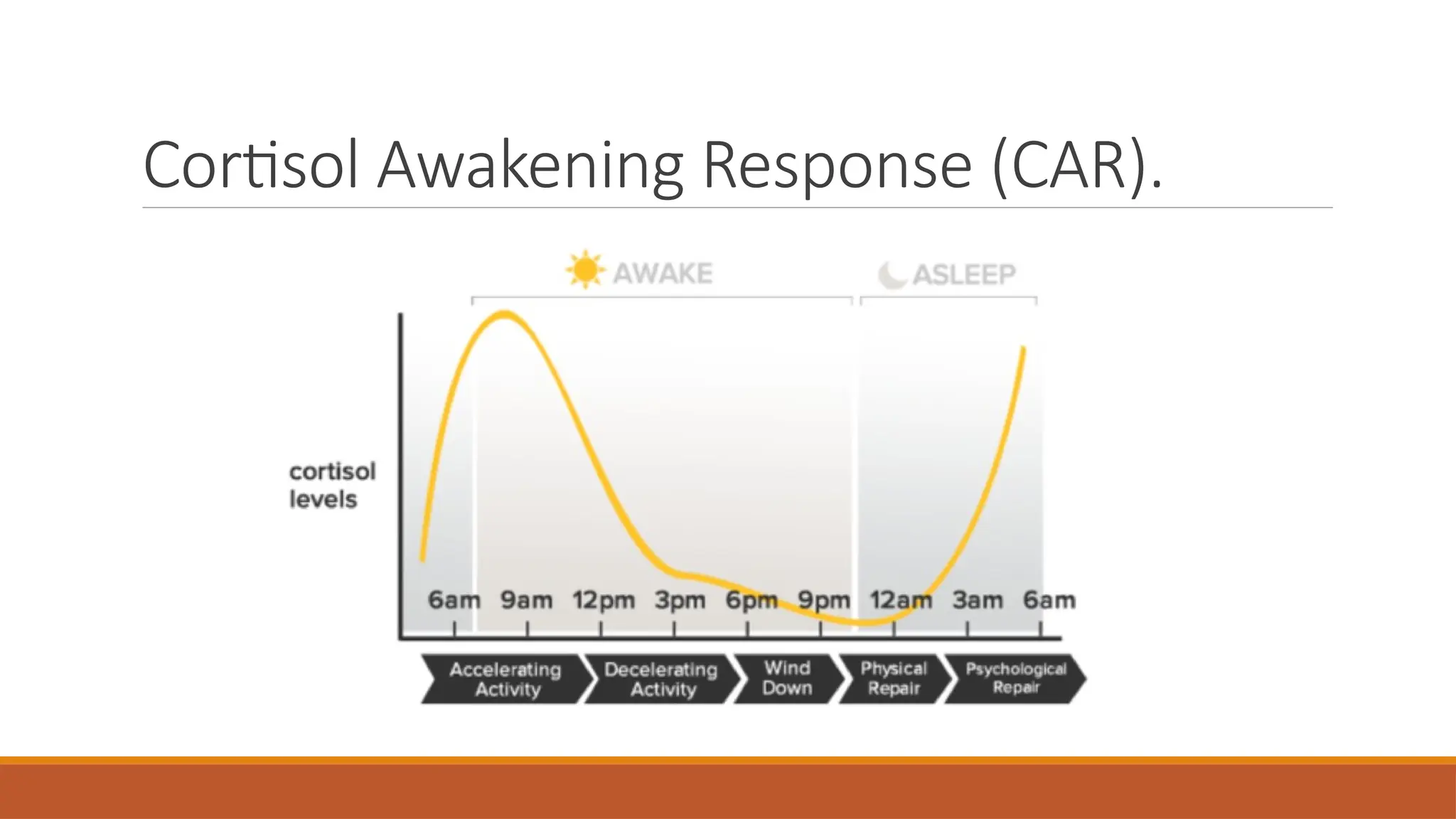 Cortisol Awakening Response (CAR).
 