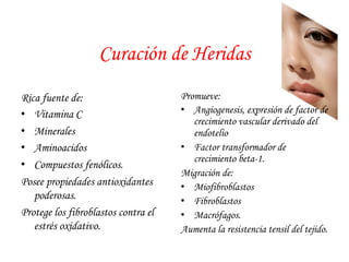Curación de Heridas 
Promueve: 
• Angiogenesis, expresión de factor de 
crecimiento vascular derivado del 
endotelio 
• Factor transformador de 
crecimiento beta-1. 
Migración de: 
• Miofibroblastos 
• Fibroblastos 
• Macrófagos. 
Aumenta la resistencia tensil del tejido. 
Rica fuente de: 
• Vitamina C 
• Minerales 
• Aminoacidos 
• Compuestos fenólicos. 
Posee propiedades antioxidantes 
poderosas. 
Protege los fibroblastos contra el 
estrés oxidativo. 
 