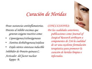 Curación de Heridas 
Posee sustancias antiinflamatorias. 
Potente al inhibir enzimas que 
generan oxigeno reactivo como: 
• Lipooxigenas/ciclooxigenasas 
• Xantina deshidrogenasa/oxidasa 
• Oxido nitrico sintetasa inducible 
Inhibidor de Protein-quinasa C. 
Activador del factor nuclear 
kappa- B. 
CONCLUSIONES: 
Por las cualidades anteriores, 
publicaciones como Journal of 
Surgical Research atribuyen a 
componentes de Zrii la cualidad 
de ser una excelente formulación 
terapéutica para promover la 
curación de heridas limpias e 
infectadas. 
 
