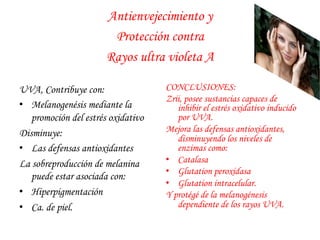 Antienvejecimiento y 
Protección contra 
Rayos ultra violeta A 
UVA, Contribuye con: 
• Melanogenésis mediante la 
promoción del estrés oxidativo 
Disminuye: 
• Las defensas antioxidantes 
La sobreproducción de melanina 
puede estar asociada con: 
• Hiperpigmentación 
• Ca. de piel. 
CONCLUSIONES: 
Zrii, posee sustancias capaces de 
inhibir el estrés oxidativo inducido 
por UVA. 
Mejora las defensas antioxidantes, 
disminuyendo los niveles de 
enzimas como: 
• Catalasa 
• Glutation peroxidasa 
• Glutation intracelular. 
Y protégé de la melanogénesis 
dependiente de los rayos UVA. 
 