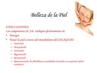 Belleza de la Piel 
CONCLUSIONES: 
Los componentes de Zrii trabajan efectivamente en: 
• Proteger 
• Tratar la piel a traves del metabolismo del COLAGENO. 
– Nutriendo 
– Desoxidando 
– Activando 
– Regenerando 
– Restaurando 
– Rejuveneciendo, los fibroblastos (cualidades esenciales en su potente efecto 
cosmético). 
 