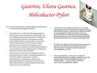 Gastritis, Ulcera Gastrica, 
Helicobacter-Pylori 
Zrii 
en 
su 
formulación 
posee 
sustancias 
gastroprotectoras 
que 
han 
demostrado 
los 
siguientes 
efectos: 
• Promoción 
de 
la 
curación 
de 
ulceras 
gástricas 
por 
su 
efecto 
an*secretorio, 
an*ulceroso 
y 
citoprotector. 
Se 
han 
realizado 
estudios 
experimentales 
en 
modelos 
con 
lesión 
inducida 
por 
aspirina, 
indometacina, 
alcohol, 
estrés, 
ligadura 
pilórica 
y 
acido 
acé*co, 
en 
los 
cuales 
diversos 
componentes 
de 
Zrii 
muestran 
un 
efecto 
promotor 
en 
la 
curación 
de 
ulceras 
gástricas, 
por 
disminución 
de 
la 
producción 
de 
ácido, 
pepsina, 
gastrina 
y 
por 
su 
poderosa 
acción 
an*inflamatoria, 
inhibiendo 
la 
oxido 
nítrico 
sintasa 
inducible 
(iNOS). 
• Disminución 
de 
la 
secreción 
de 
acido 
gástrico 
por 
las 
células 
parietales 
por 
inhibir, 
la 
bomba 
de 
protones, 
H+. 
K+ 
ATPasa, 
efecto 
comparable 
en 
estudios 
experimentales 
con 
Lansoprazol, 
además 
otras 
sustancias 
bloquean 
los 
receptores 
de 
histamina 
H2, 
efecto 
demostrado 
en 
estudios 
experimentales 
versus 
medicamentos 
como 
Rani*dina. 
• 
Aumento 
en 
la 
secreción 
de 
moco 
en 
las 
células 
mucosas 
gástricas 
y 
de 
hexosamina, 
que 
previene 
el 
desarrollo 
de 
ulceras, 
mejorando 
el 
efecto 
de 
buffer 
en 
el 
jugo 
gástrico 
ácido, 
actuando 
como 
una 
barrera 
efec*va 
en 
la 
difusión 
del 
ion 
Hidrogeno 
y 
disminuyendo 
la 
fricción 
de 
la 
pared 
del 
estomago 
durante 
la 
peristalsis 
y 
las 
contracciones 
gástricas. 
• Protege 
a 
las 
células 
contra 
la 
lesión 
(citoprotector) 
por 
aumento 
del 
grosor 
de 
la 
pared 
de 
moco 
y 
disminución 
de 
los 
niveles 
de 
gama 
glutamil 
transpep*dasa 
(γ-­‐GTP). 
• Como 
an*oxidante: 
aumenta 
los 
niveles 
de 
superoxido 
dismutase, 
catalasa, 
gluta*on 
reducido 
y 
enzimas 
de 
unión 
a 
membrana 
como 
Ca2+ 
ATPasa, 
Mg2+ 
ATPasa 
y 
Na+ 
K+ 
ATPasa, 
disminuye 
la 
peroxidación 
lipídica. 
 