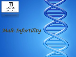 Male Infertility
 