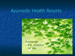 Ayurvedic Health Resorts
 