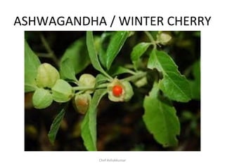 Ayurvedic Herbs