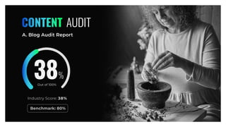 AUDIT
CONTENT
A. Blog Audit Report
Industry Score: 38%
Benchmark: 80%
Out of 100%
38
 