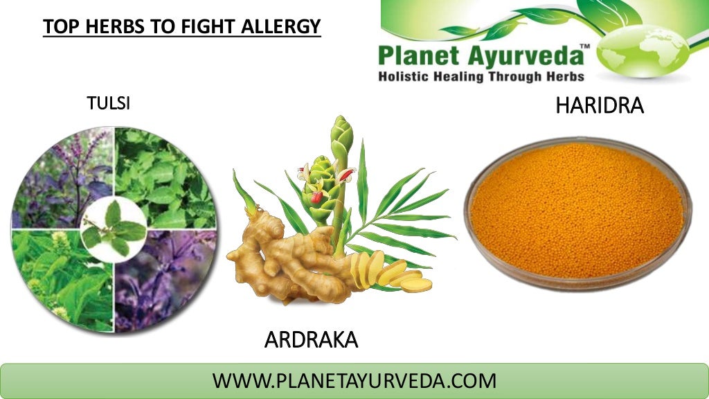 Ayurvedic medicine for allergy Natural Herbs
