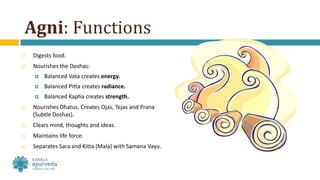 Agni: Functions
 Digests food.
 Nourishes the Doshas:
 Balanced Vata creates energy.
 Balanced Pitta creates radiance.
 Balanced Kapha creates strength.
 Nourishes Dhatus. Creates Ojas, Tejas and Prana
(Subtle Doshas).
 Clears mind, thoughts and ideas.
 Maintains life force.
 Separates Sara and Kitta (Mala) with Samana Vayu.
 