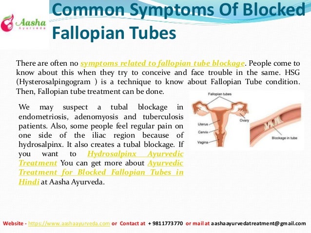 reyhan-blog-blocked-fallopian-tubes-treatment