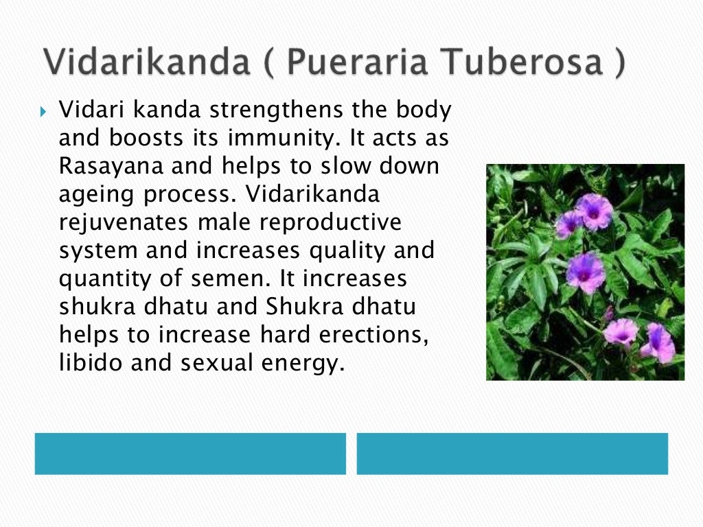 Ayurvedic Vajikarana Herbs