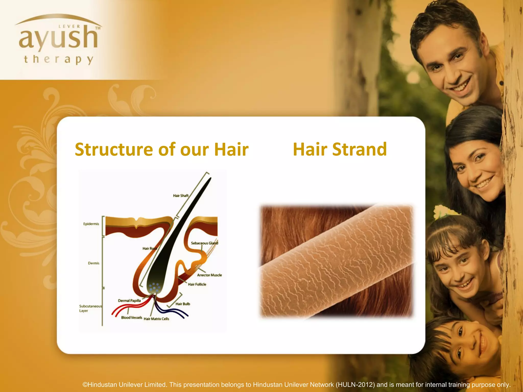 Structure of our Hair                                                  Hair Strand




©Hindustan Unilever Limited. This presentation belongs to Hindustan Unilever Network (HULN-2012) and is meant for internal training purpose only.
 