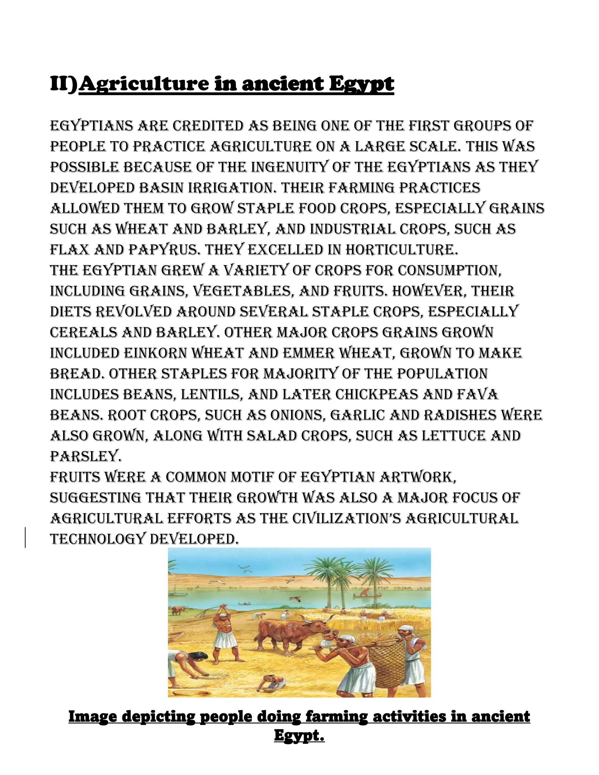 II)Agriculture in ancient Egypt
Egyptians are credited as being one of the first groups of
people to practice agriculture on a large scale. This was
possible because of the ingenuity of the Egyptians as they
developed basin irrigation. Their farming practices
allowed them to grow staple food crops, especially grains
such as wheat and barley, and industrial crops, such as
flax and papyrus. They excelled in horticulture.
The Egyptian grew a variety of crops for consumption,
including grains, vegetables, and fruits. However, their
diets revolved around several staple crops, especially
cereals and barley. Other major crops grains grown
included einkorn wheat and emmer wheat, grown to make
bread. Other staples for majority of the population
includes beans, lentils, and later chickpeas and fava
beans. Root crops, such as onions, garlic and radishes were
also grown, along with salad crops, such as lettuce and
parsley.
Fruits were a common motif of Egyptian artwork,
suggesting that their growth was also a major focus of
agricuLturaL efforts as the civiLization’s agricuLturaL
technology developed.
Image depicting people doing farming activities in ancient
Egypt.
 