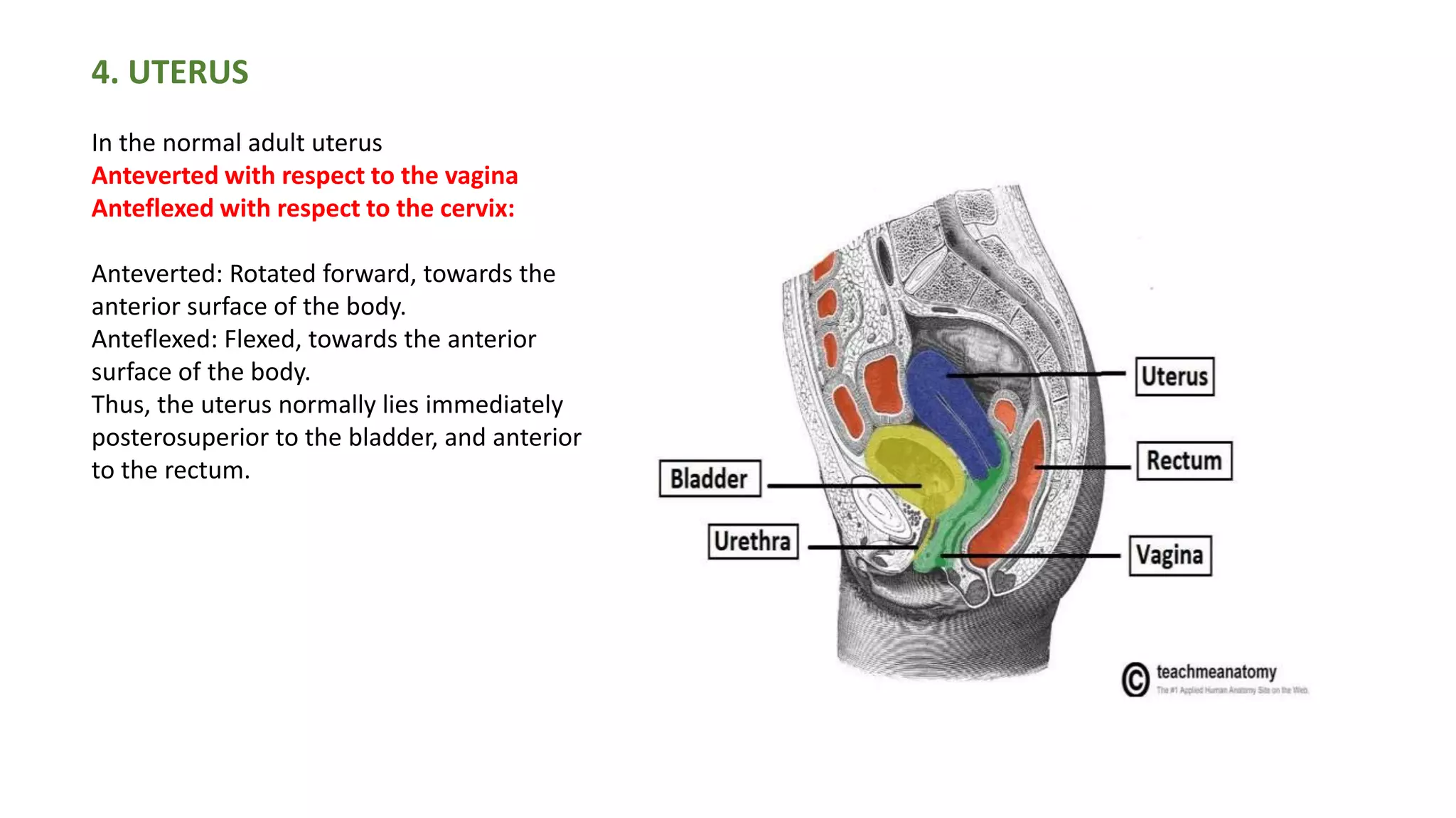 Genito urinary system -clinical | PPTX