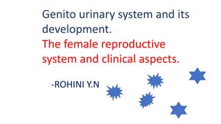 Genito urinary system and its
development.
The female reproductive
system and clinical aspects.
-ROHINI Y.N
 