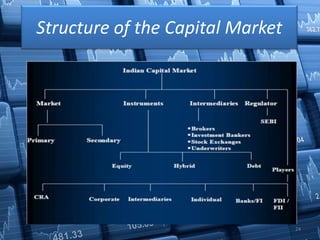 Structure of the Capital Market
24
 