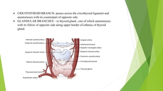 Blood supply of head & neck and periodontal tissues | PPTX