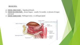 Blood supply of head & neck and periodontal tissues | PPTX