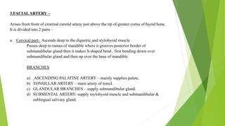 Blood supply of head & neck and periodontal tissues | PPTX