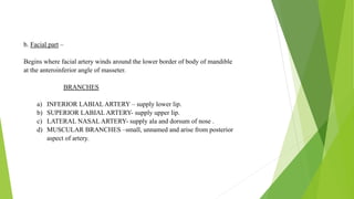 Blood supply of head & neck and periodontal tissues | PPTX