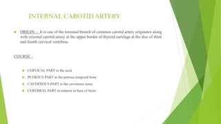 Blood supply of head & neck and periodontal tissues | PPTX