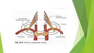 Blood supply of head & neck and periodontal tissues | PPTX