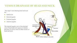 Blood supply of head & neck and periodontal tissues | PPTX