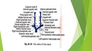 Blood supply of head & neck and periodontal tissues | PPTX