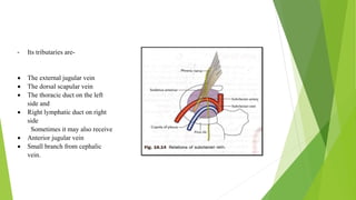 Blood supply of head & neck and periodontal tissues | PPTX