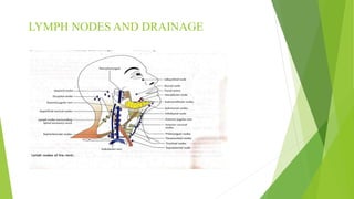 Blood supply of head & neck and periodontal tissues | PPTX