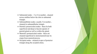 Blood supply of head & neck and periodontal tissues | PPTX