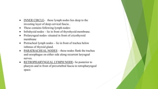 Blood supply of head & neck and periodontal tissues | PPTX