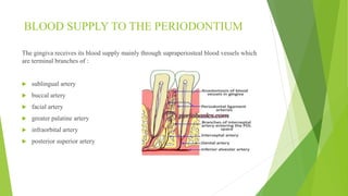 Blood supply of head & neck and periodontal tissues | PPTX