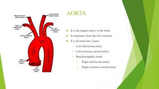 Blood supply of head & neck and periodontal tissues | PPTX