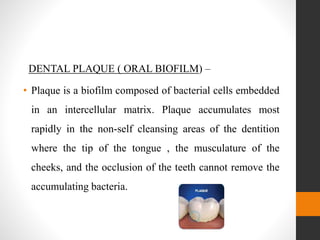DENTAL PLAQUE ( ORAL BIOFILM) –
• Plaque is a biofilm composed of bacterial cells embedded
in an intercellular matrix. Plaque accumulates most
rapidly in the non-self cleansing areas of the dentition
where the tip of the tongue , the musculature of the
cheeks, and the occlusion of the teeth cannot remove the
accumulating bacteria.
 