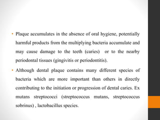 • Plaque accumulates in the absence of oral hygiene, potentially
harmful products from the multiplying bacteria accumulate and
may cause damage to the teeth (caries) or to the nearby
periodontal tissues (gingivitis or periodontitis).
• Although dental plaque contains many different species of
bacteria which are more important than others in directly
contributing to the initiation or progression of dental caries. Ex
mutans streptococci (streptococcus mutans, streptococcus
sobrinus) , lactobacillus species.
 
